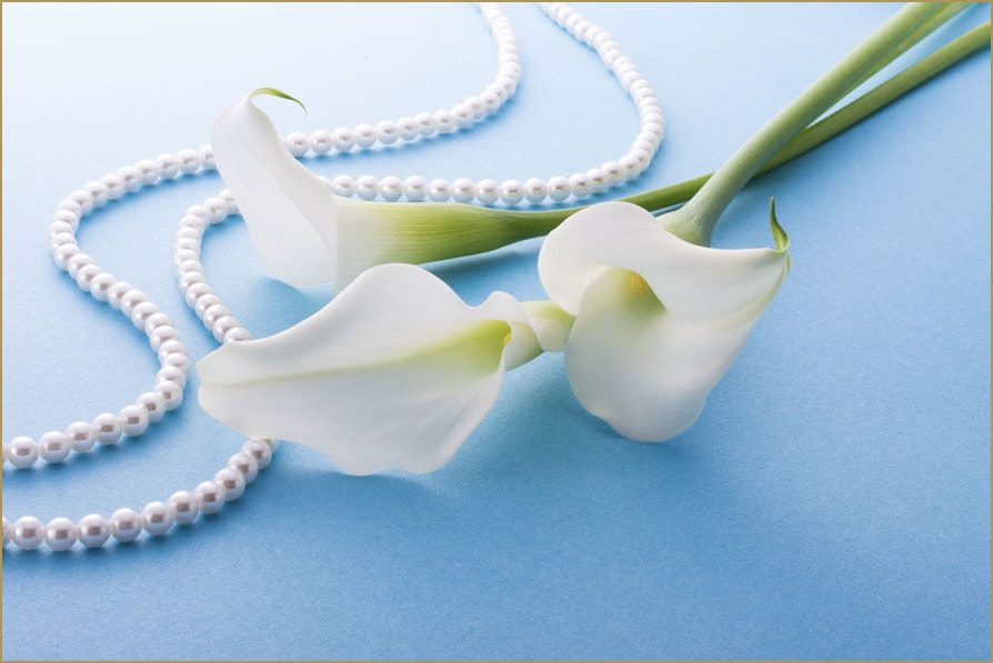 真珠のネックレスと白いカラー